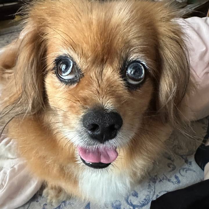 2708f998 5cc9 4430 93fa 8759a43c7c3d 1718572516218