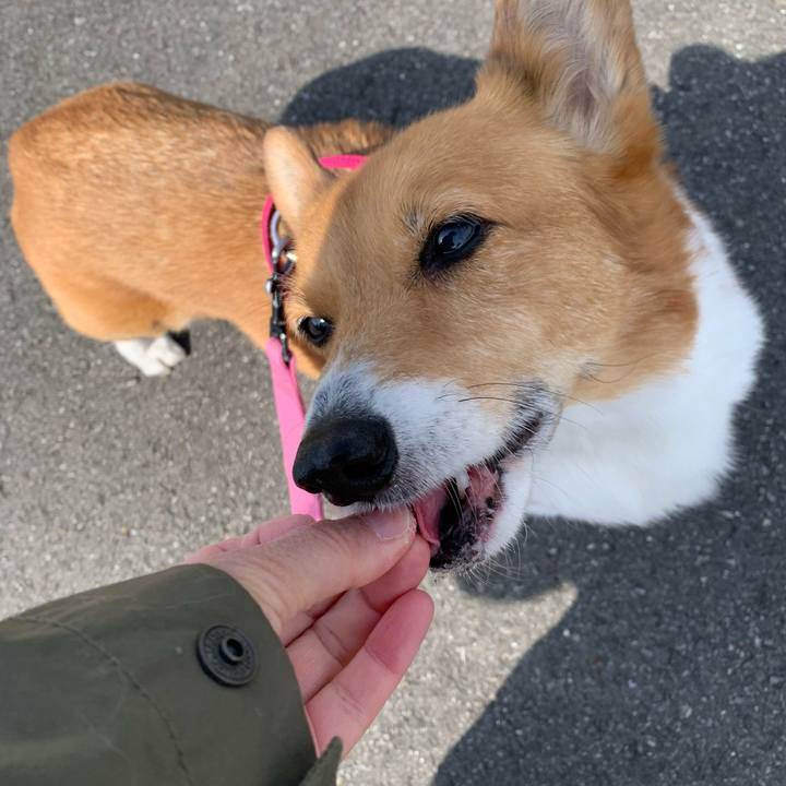 27090801 d370 4349 afc9 9fcf4236072c 1710822260432