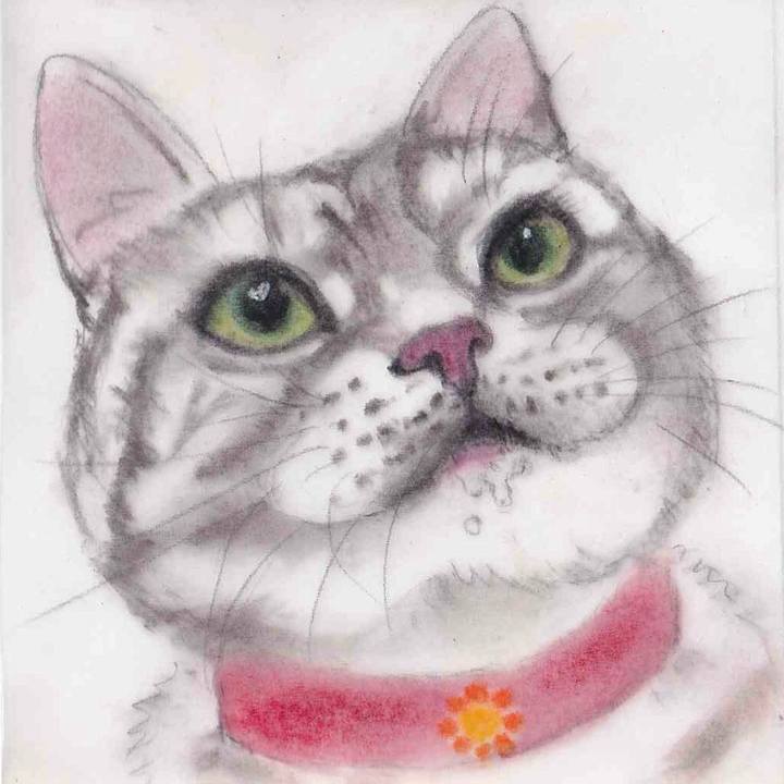 27090882 147c 4f02 bb3f b2a1057f8512 1647356615201