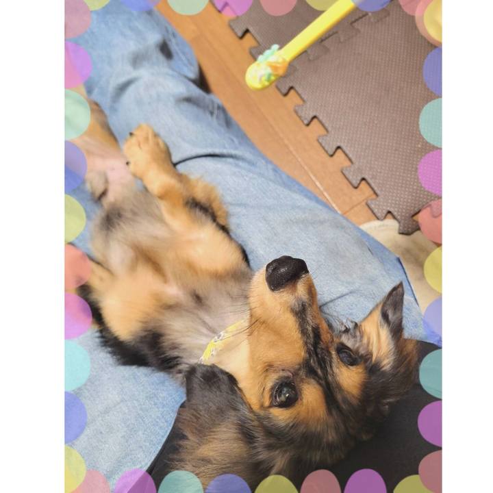 27093a64 94e5 4259 ba59 57313398f7a1 1725352843961