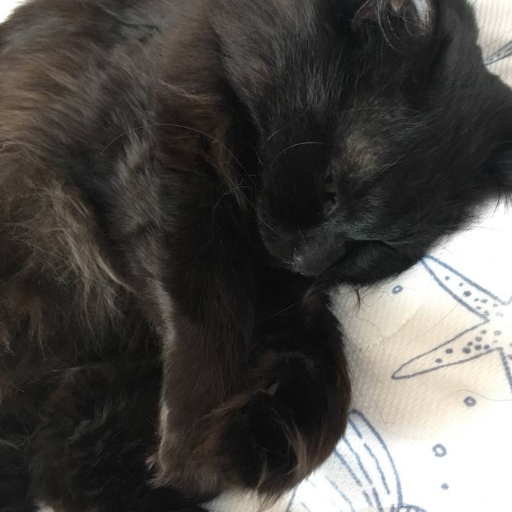 27093fb9 24c3 48d7 9ff7 d7df1db7334d 1552300333345