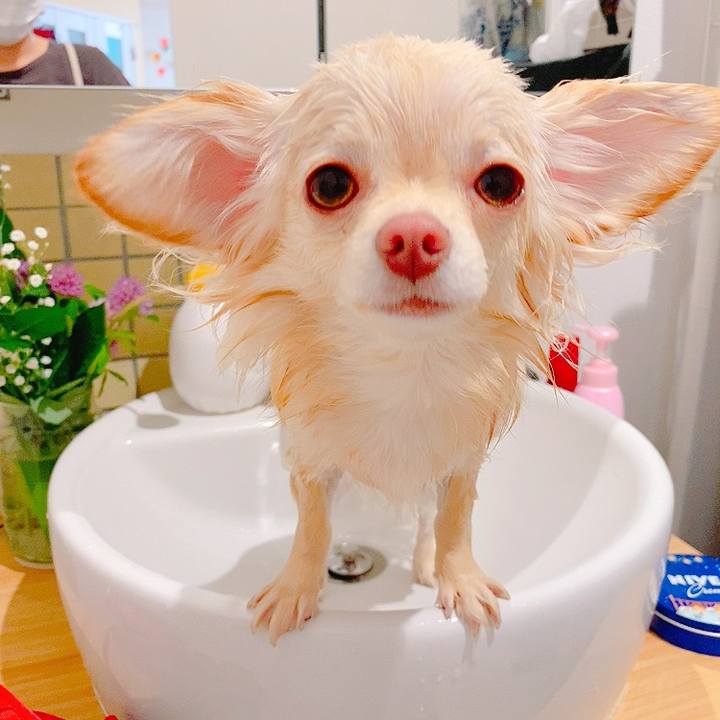 27097c3c 35f1 4834 b044 e32bb6e897cf 1620306498780