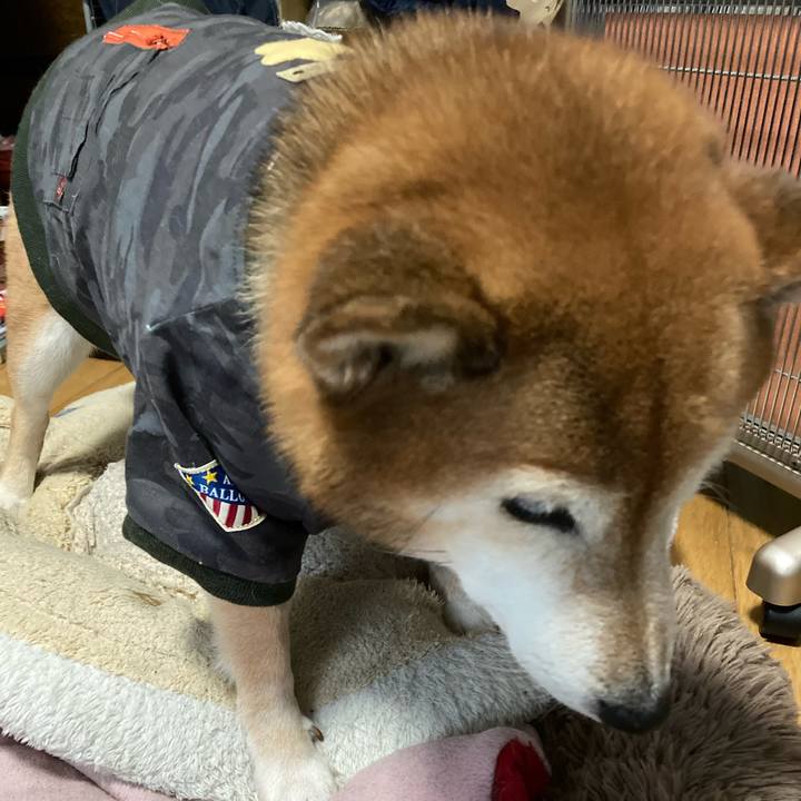 270986a2 d2bb 4f60 b588 846eb25d1119 1670925347688