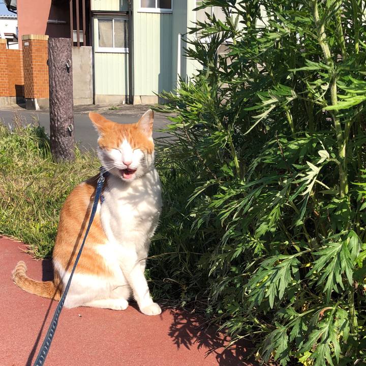 27099d2d 3862 411e 8cd0 ec5a91d6aa6b 1557403505477