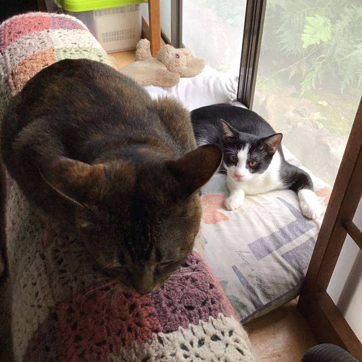 2709a90d babd 4ed1 a173 07aa757e605c 1631334328337