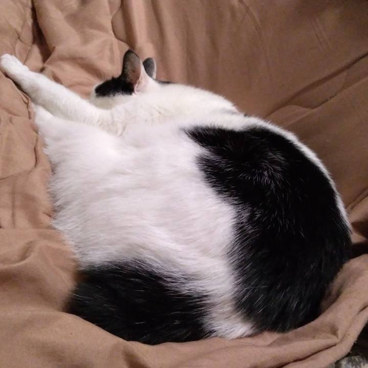 2709c8ef 8911 484d 97aa 95e869b6bf5a 1519561463796