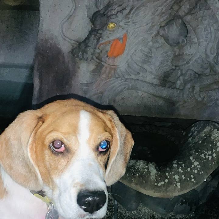 2709cf7e 2fc8 446f a932 83fabbfa237e 1704277833983