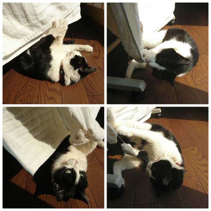 2709f782 3f26 4412 a6b7 1da9717f7852 1587857324932