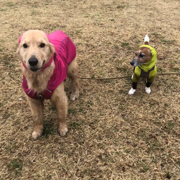 270a083e 9c16 4e4d 9a76 b72bc1e80569 1615157319327