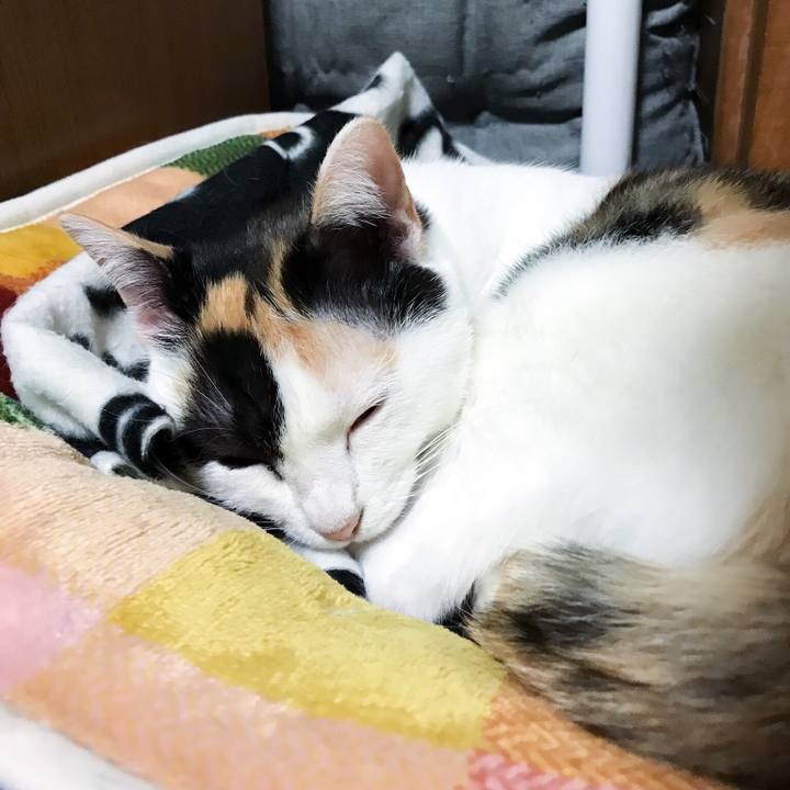 270a2a50 c3b5 4f59 91c6 6ccd74a83cb2 1510917296056