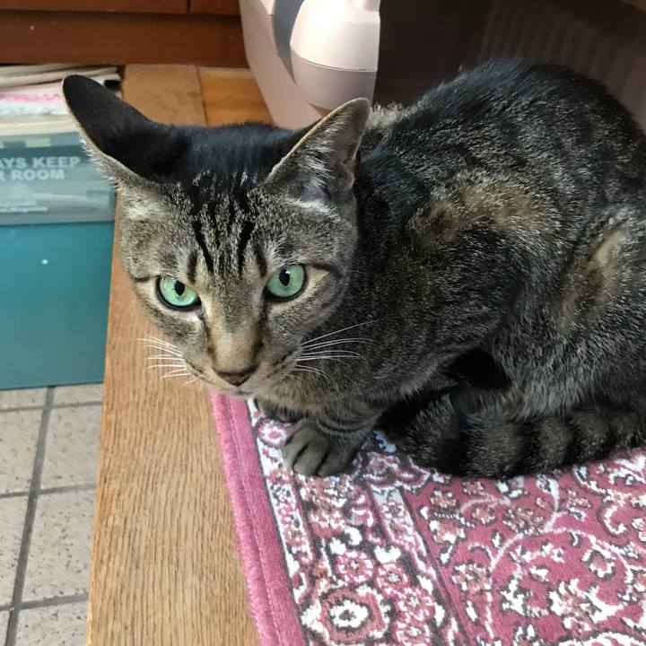 270a85fd dcf2 4699 a76e 4402f614d654 1526950695983