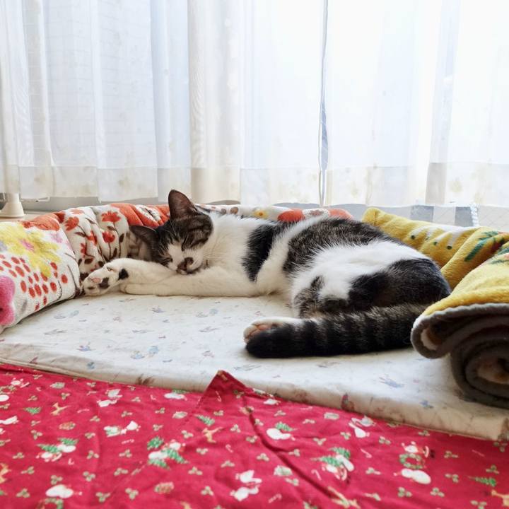 270a9095 6828 48b9 9b1c eca8e14f36de 1765020526645