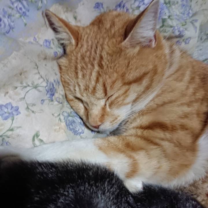 270aa4ad c266 4a5e 8d28 cdebbfd3b6c4 1582030059086