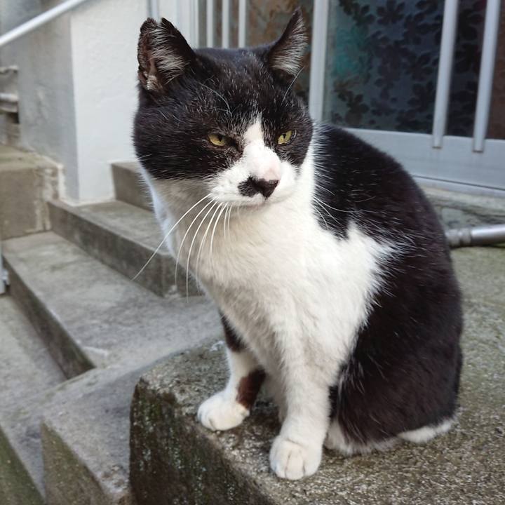 270aa696 63be 4813 ad8b 8a8e8fe6b7dd 1678175417279