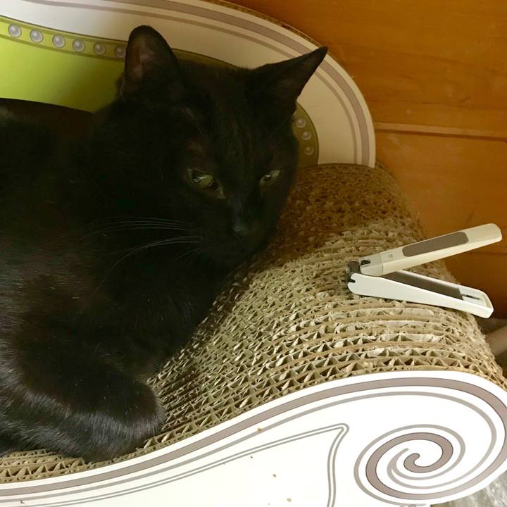 270aba04 3b7d 4e73 803c f4634ebf12a8 1519639608305