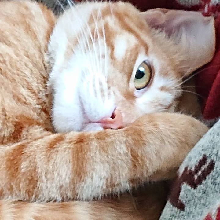 270b36ad 7c56 43c4 bdd4 c465ce358e57 1579941099278