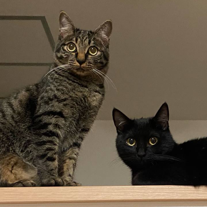 270b7d5c 591a 4d68 80e0 079c216ef968 1623841392988