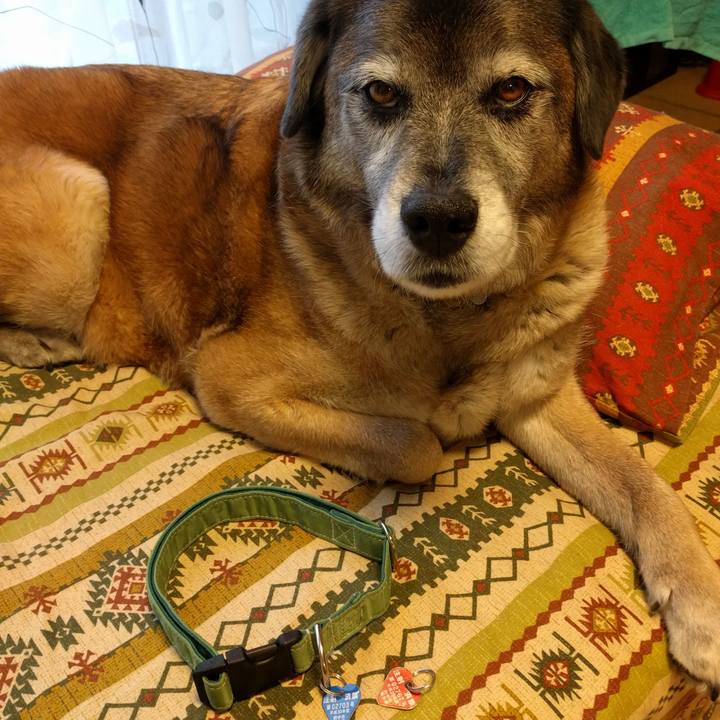 270b9801 1a13 45e1 92cf 7133e3d31c3f 1523350503210