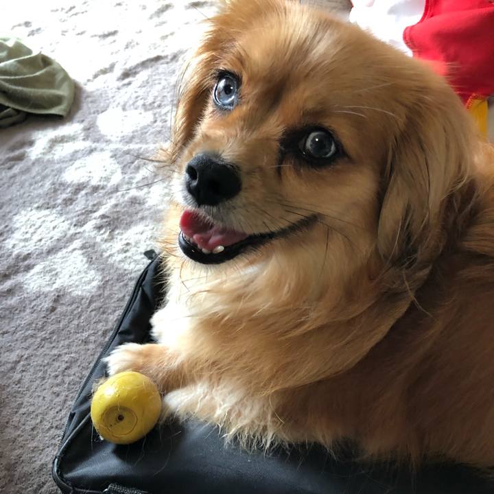 270ba35f bbb7 4a86 aca9 0918bf5db9ad 1566252474953