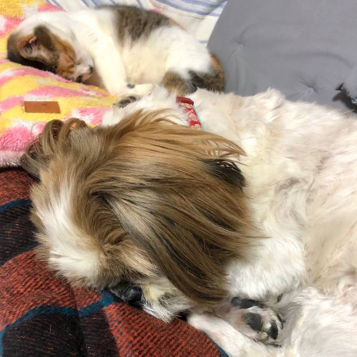 270bdada 22f0 4c66 8ac0 44016c9b87f0 1553263294310