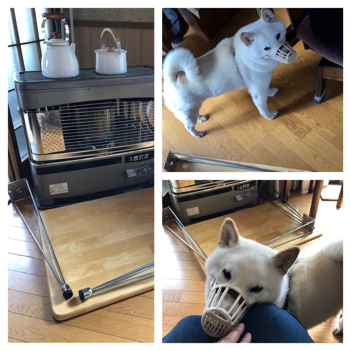 270bf254 a688 4f25 bdc2 fb5cbfc3f8dd 1575690041774