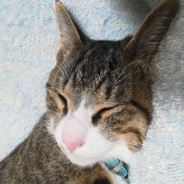 270c1dcc b4df 4537 b3f1 d70aacee1cc7 1661140294429