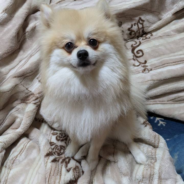 270c2790 c603 48a0 8709 4f704db11edf 1775101034551