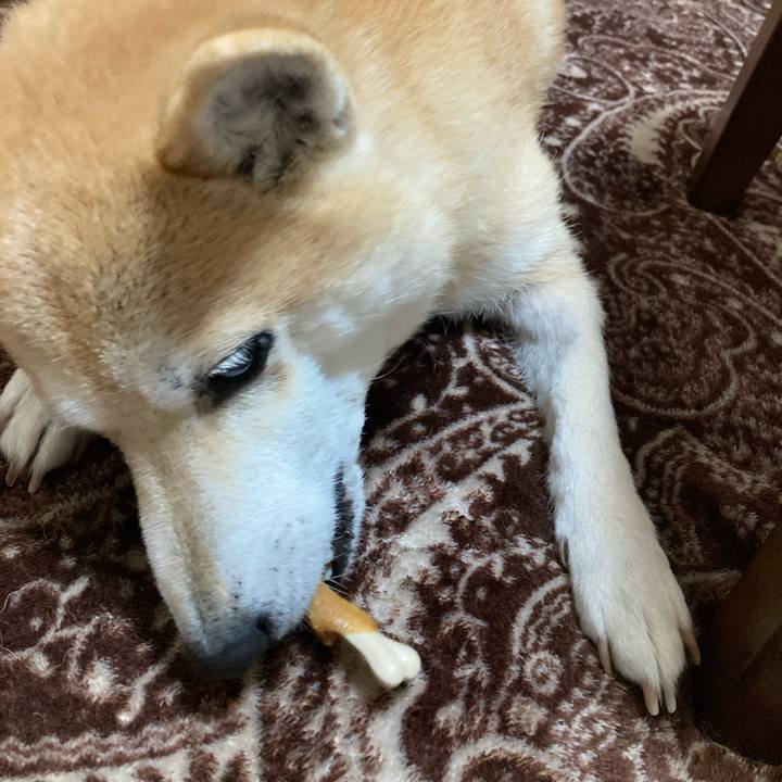 270c338d 8880 4f0e 9765 a4b7a39a47a5 1612224402319