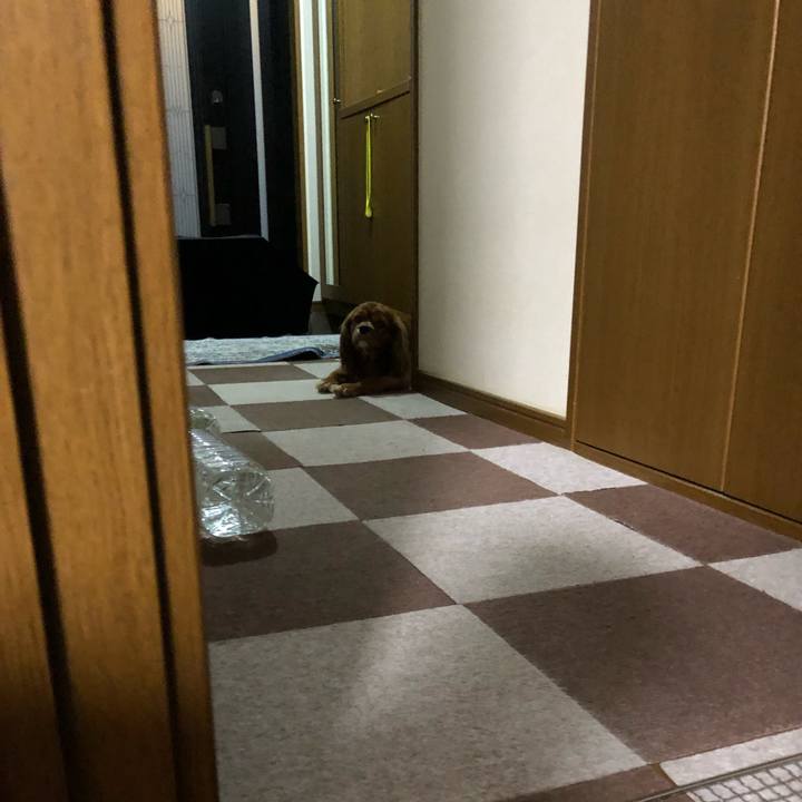 270c5ea8 5b9e 4e17 86fd 8df2ed792a87 1560658606550