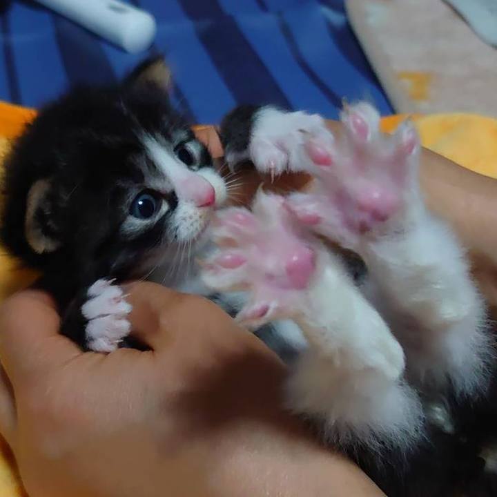 270c5faf 1bb0 4260 aad7 23240bbc2b82 1623244178882