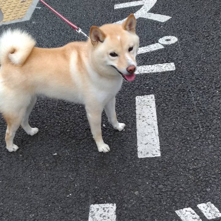 270c5fdc 846e 4430 9212 c4ff57ae5e36 1598143463677