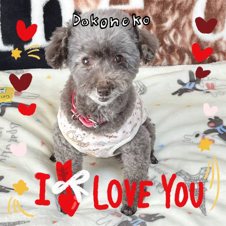 270c6037 0c90 403b b1d3 3004f0e68a23 1706856337124