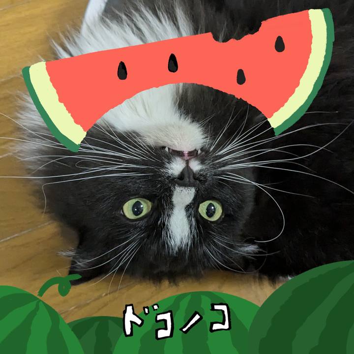 270c877c f38d 4e31 b30b b075bb8f68e6 1720824577271