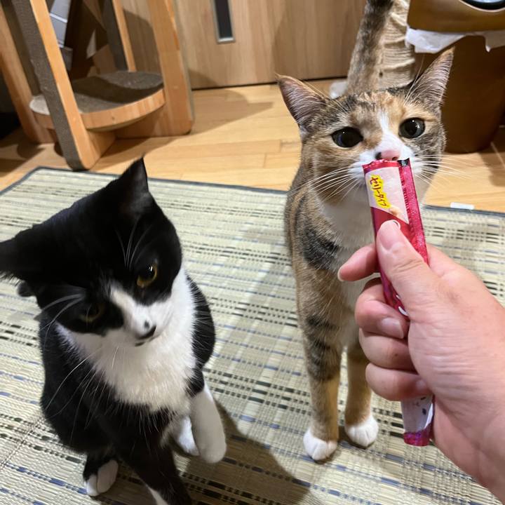 270c9001 f131 41b2 a651 554e4b781f65 1660740892859