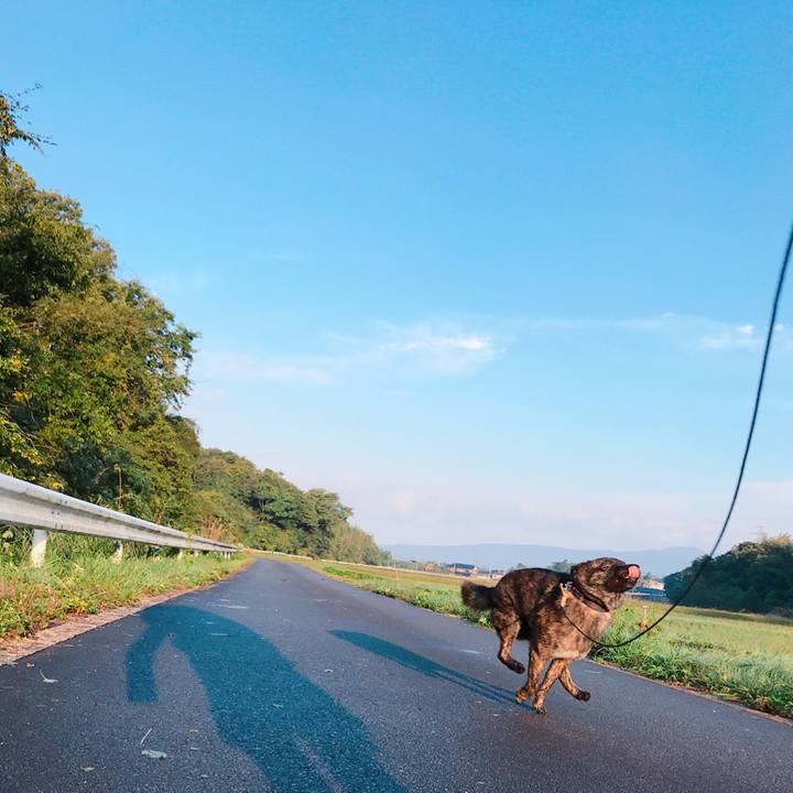 270c9109 81da 4cdc 8537 c6c942e07663 1508816634038