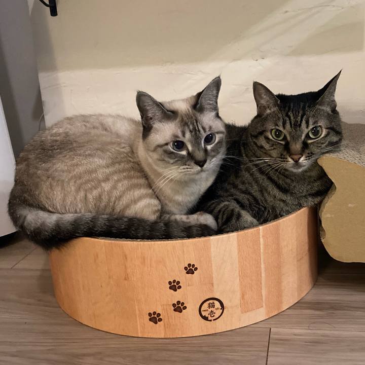 270c9457 64c5 4538 ac4f 2941cc87c562 1662200204870