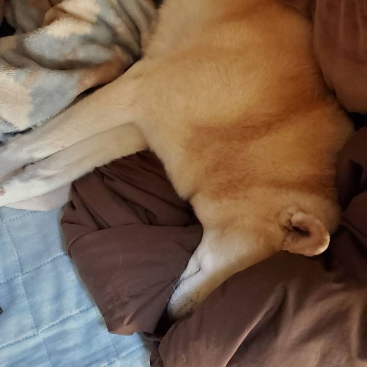 270ca465 950a 47aa afe7 64377939c167 1597545273452