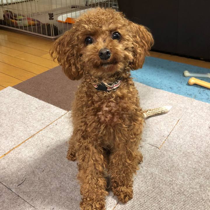 270cab77 268f 4b26 8521 b503cc98ba3d 1520327563887