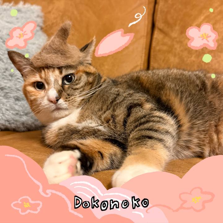 270cc369 d1e1 4a2e bf46 5ccda3c8bb05 1775260403238