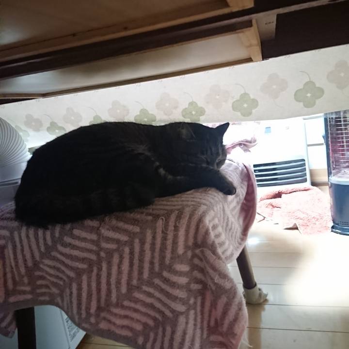 270ce7bd 249b 4c0b 85b9 22855a5d3c24 1639342550452