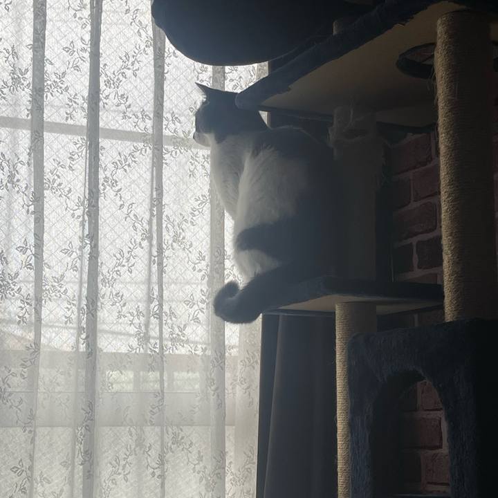 270cec55 773e 4a87 81b0 aaecf7ecd126 1674456344331