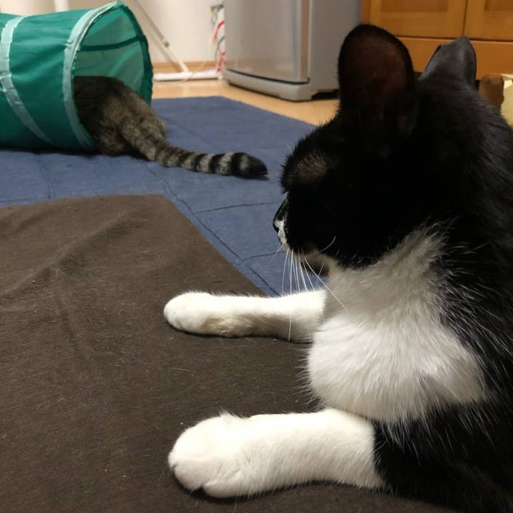 270cf9d7 b511 46af 9d84 d09570c168f1 1624762069314