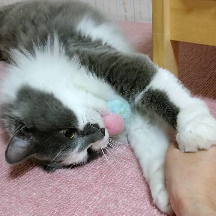 270d2790 3f06 450f ac40 83cf610e0292 1594855260900