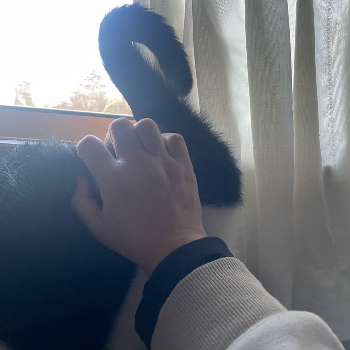 270d4689 58f3 4b82 b8bb 4f3412a408d9 1770366065412