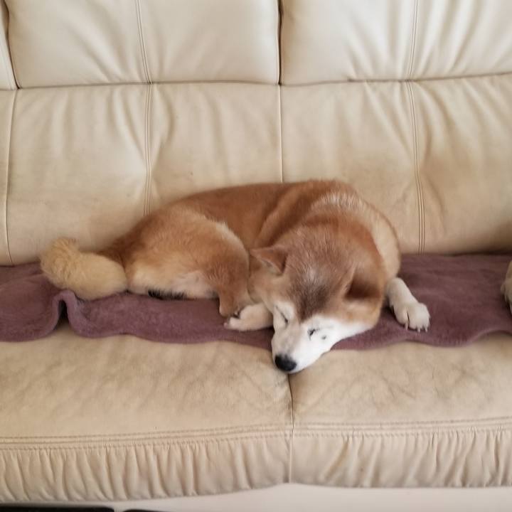 270dce34 8b9b 465d a0d9 38698eb57564 1755139045916