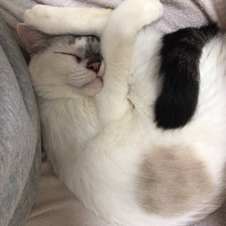 270de28c aeb8 4405 ae36 0afdf734f2c2 1538281246568