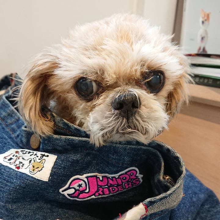 270def90 fbc8 4011 b2cf 737b7e254670 1649330463771