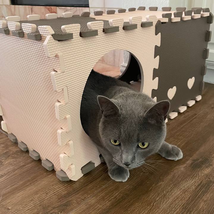 270dfb29 2f19 478f 96f5 b12ee32cf7ae 1694663649891