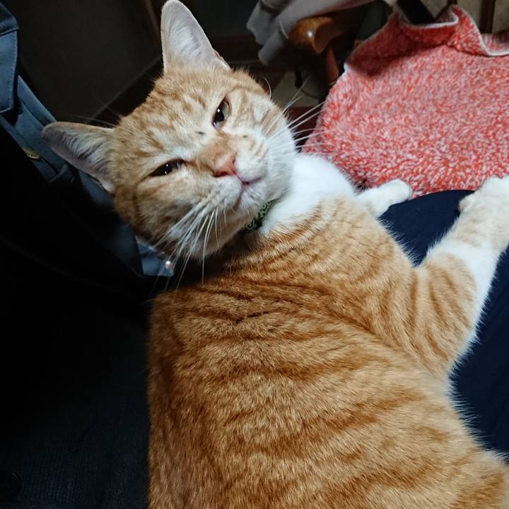 270e2b82 cb4c 4f47 a190 2e8761b1243d 1580162045504