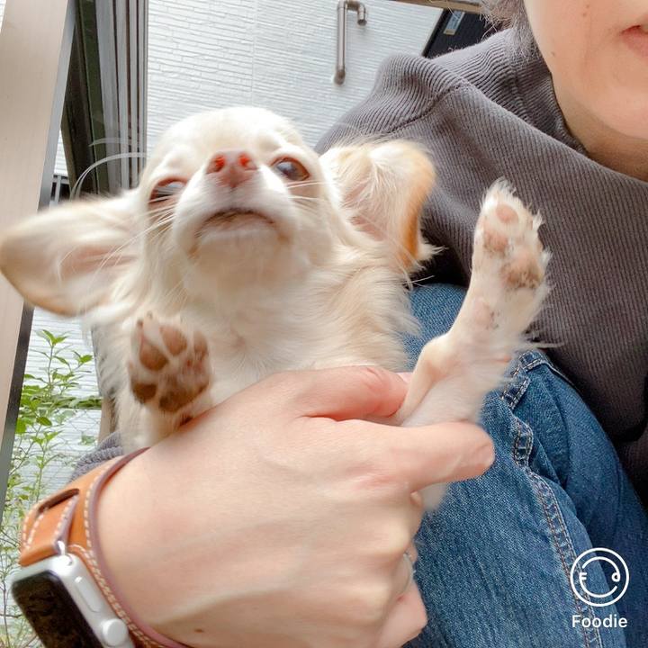 270e6123 8656 469a bdee 74e5fbf37b02 1600770218314